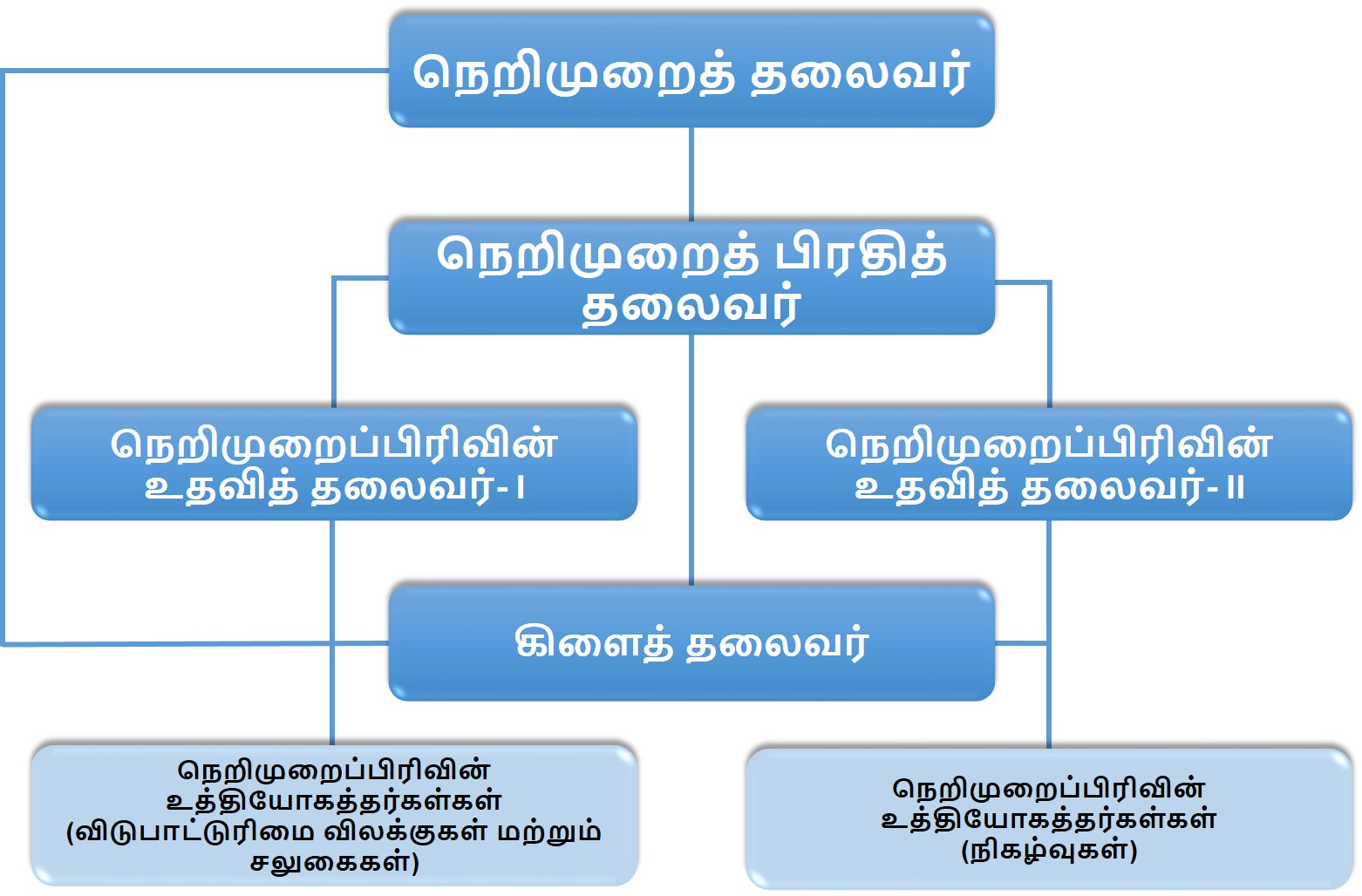 Organization Structure